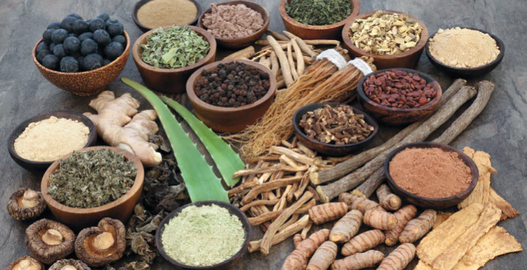 Natural Wellness for Every Generation