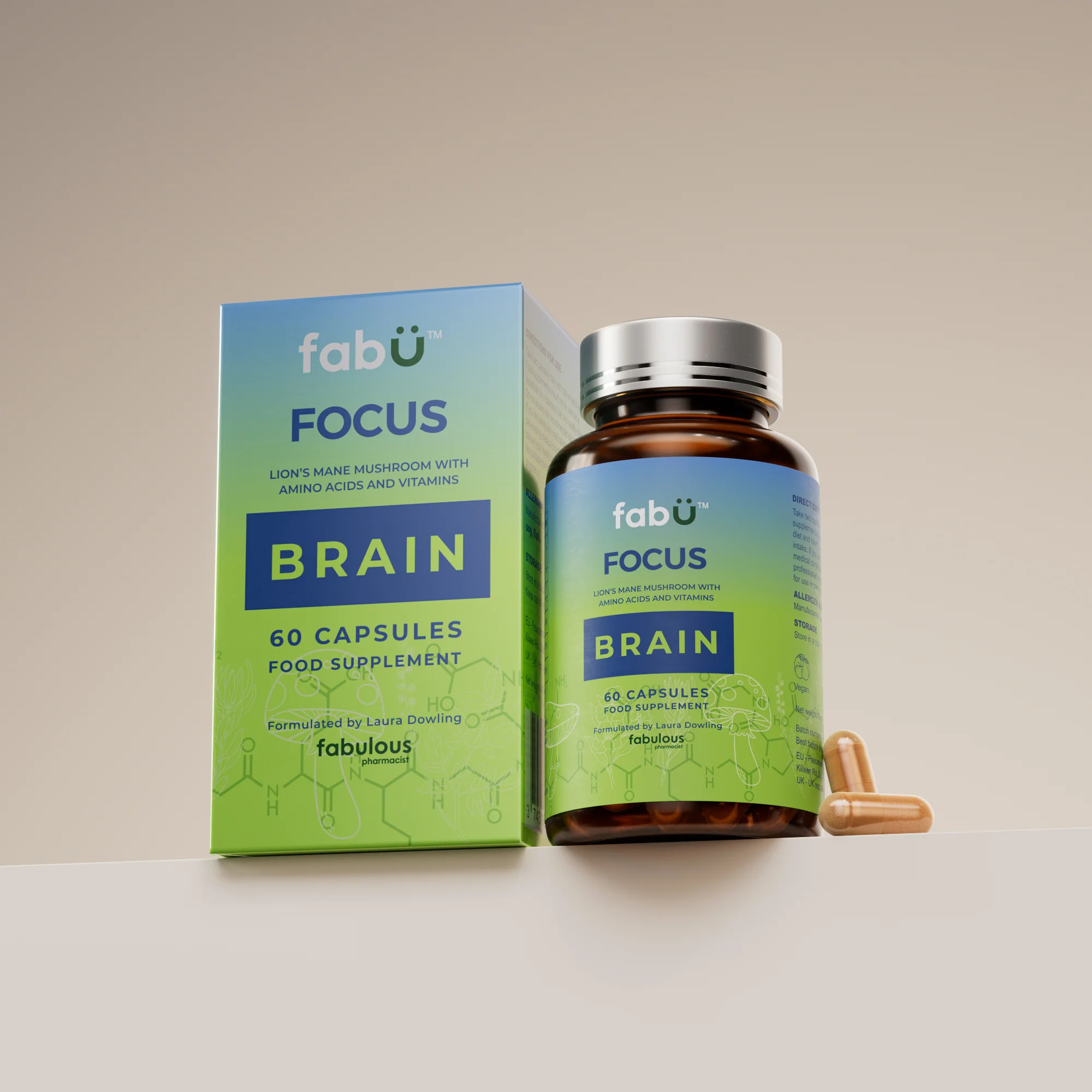 FabÜ Focus Brain - Image 2