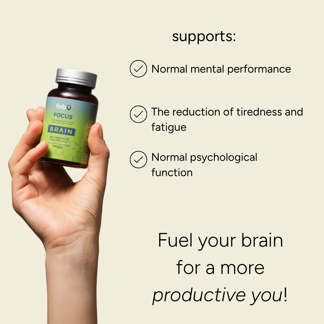 FabÜ Focus Brain - Image 3