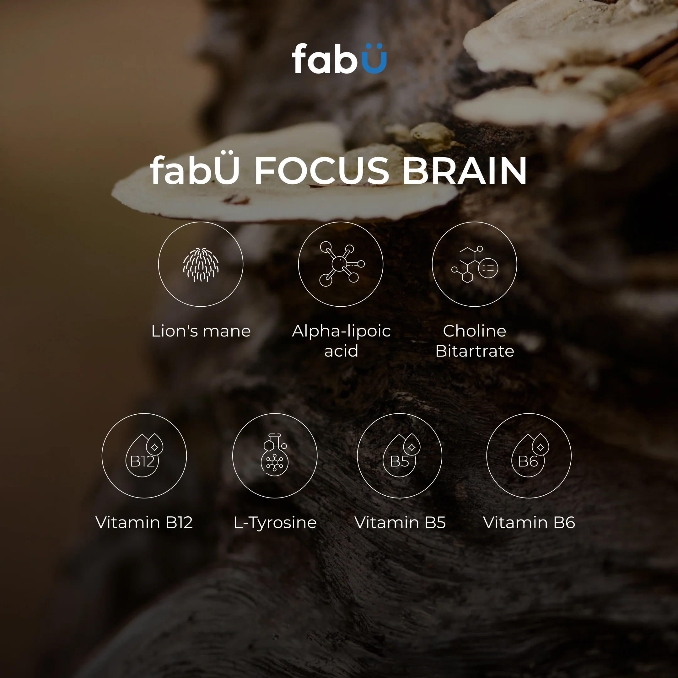 FabÜ Focus Brain - Image 4