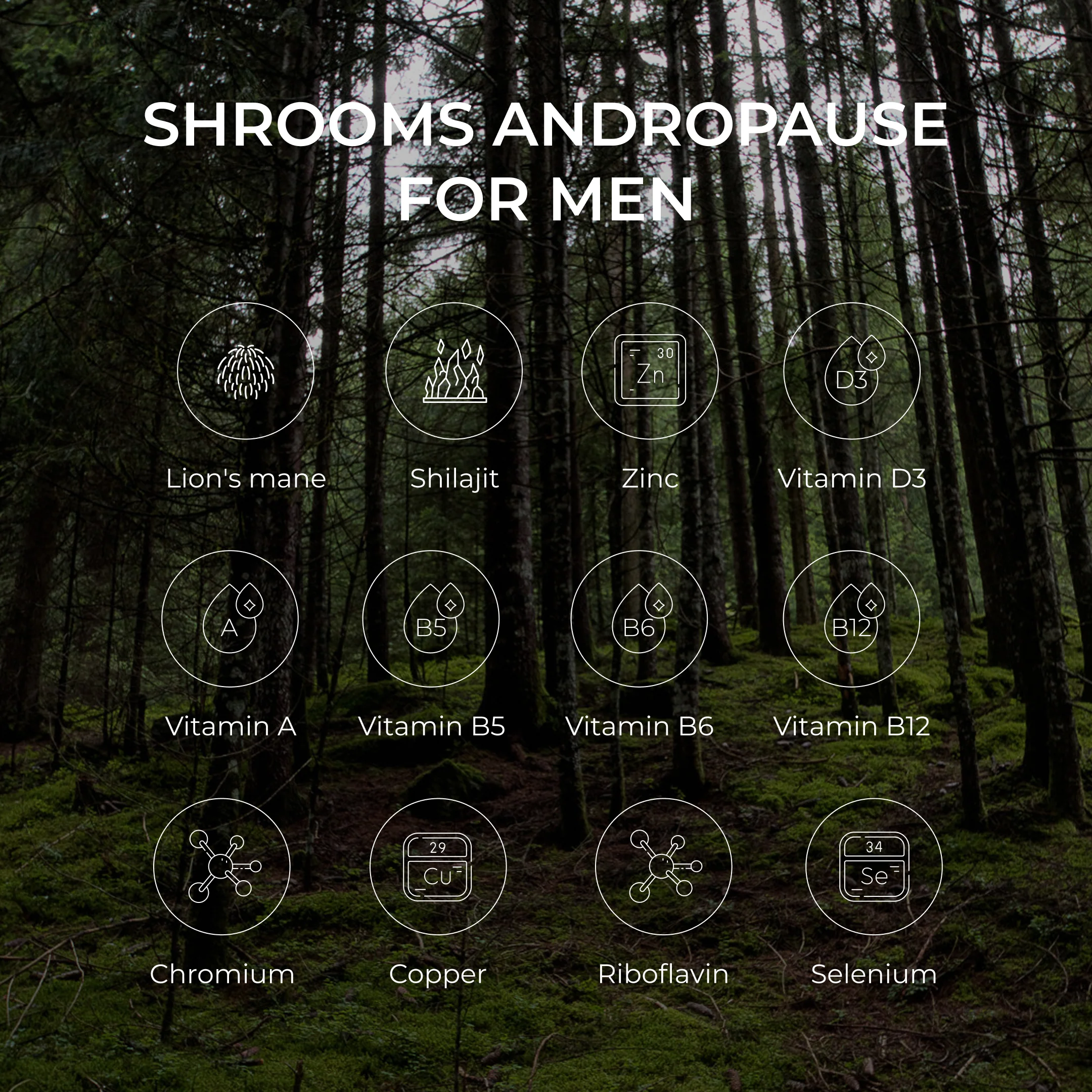 FabÜ Shrooms Andropause For Men - Image 3
