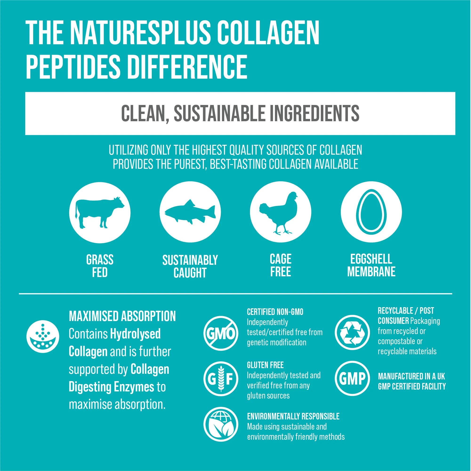 Nature's Plus Collagen Peptides - Berry Lemonade - Image 3