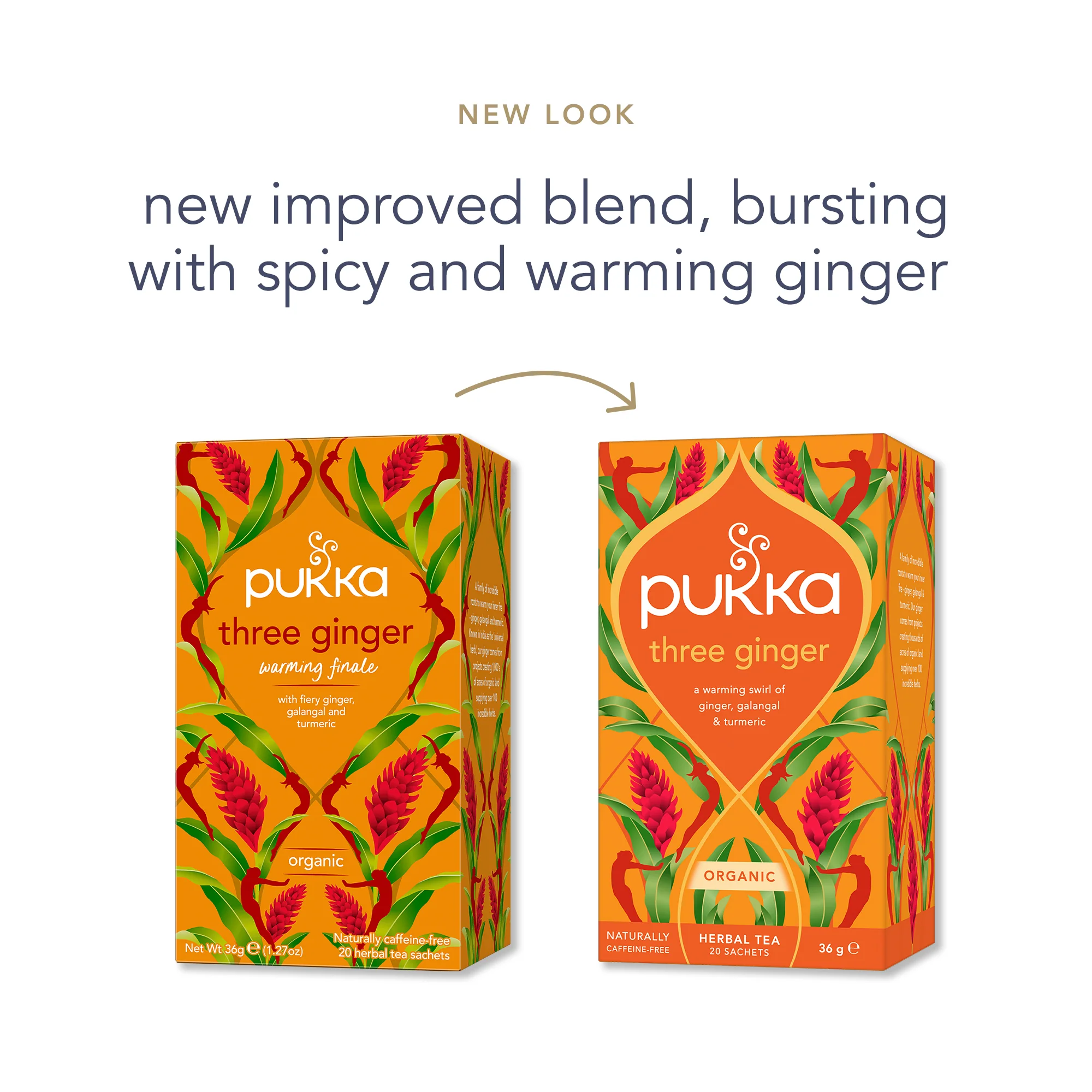 Pukka Organic Three Ginger Tea - Image 2