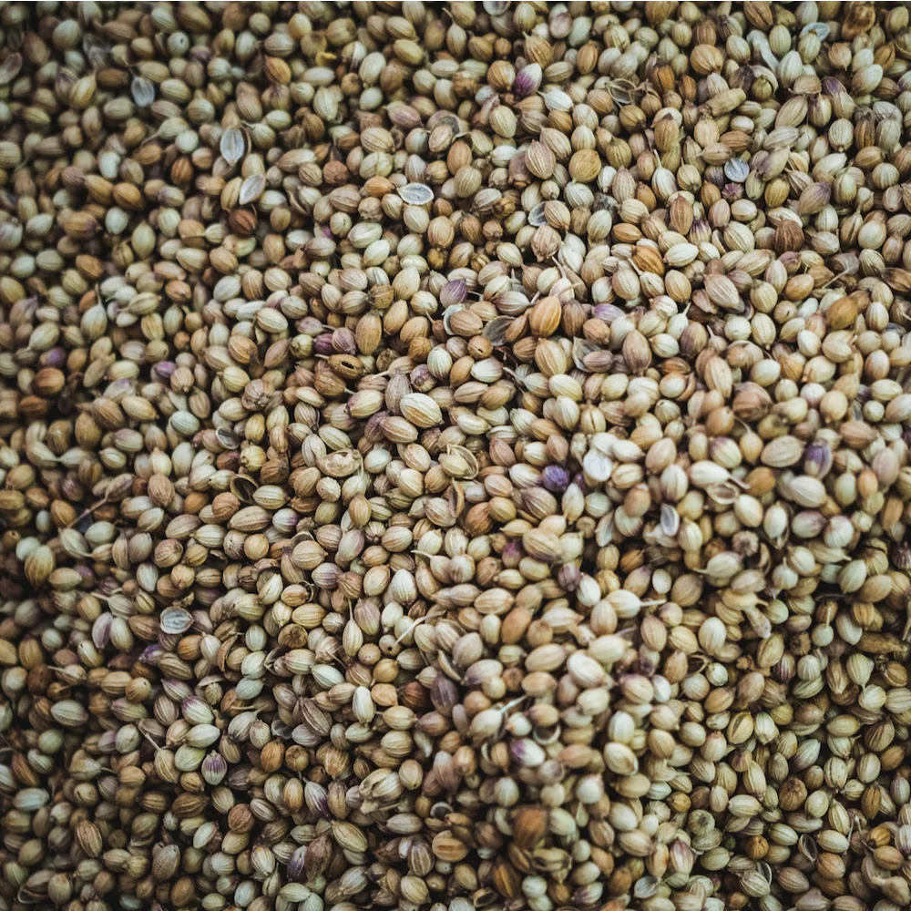 True Natural Goodness Organic Hemp Seeds - Image 2