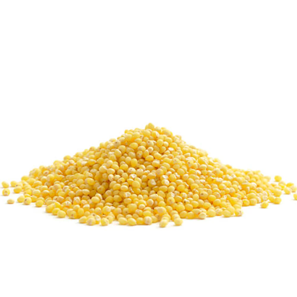 True Natural Goodness Organic Millet Grain